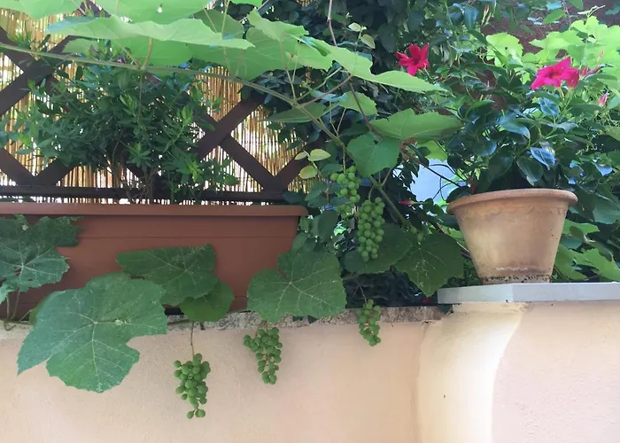 Apartment Testaccio Historic House