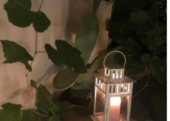 Testaccio Historic House *